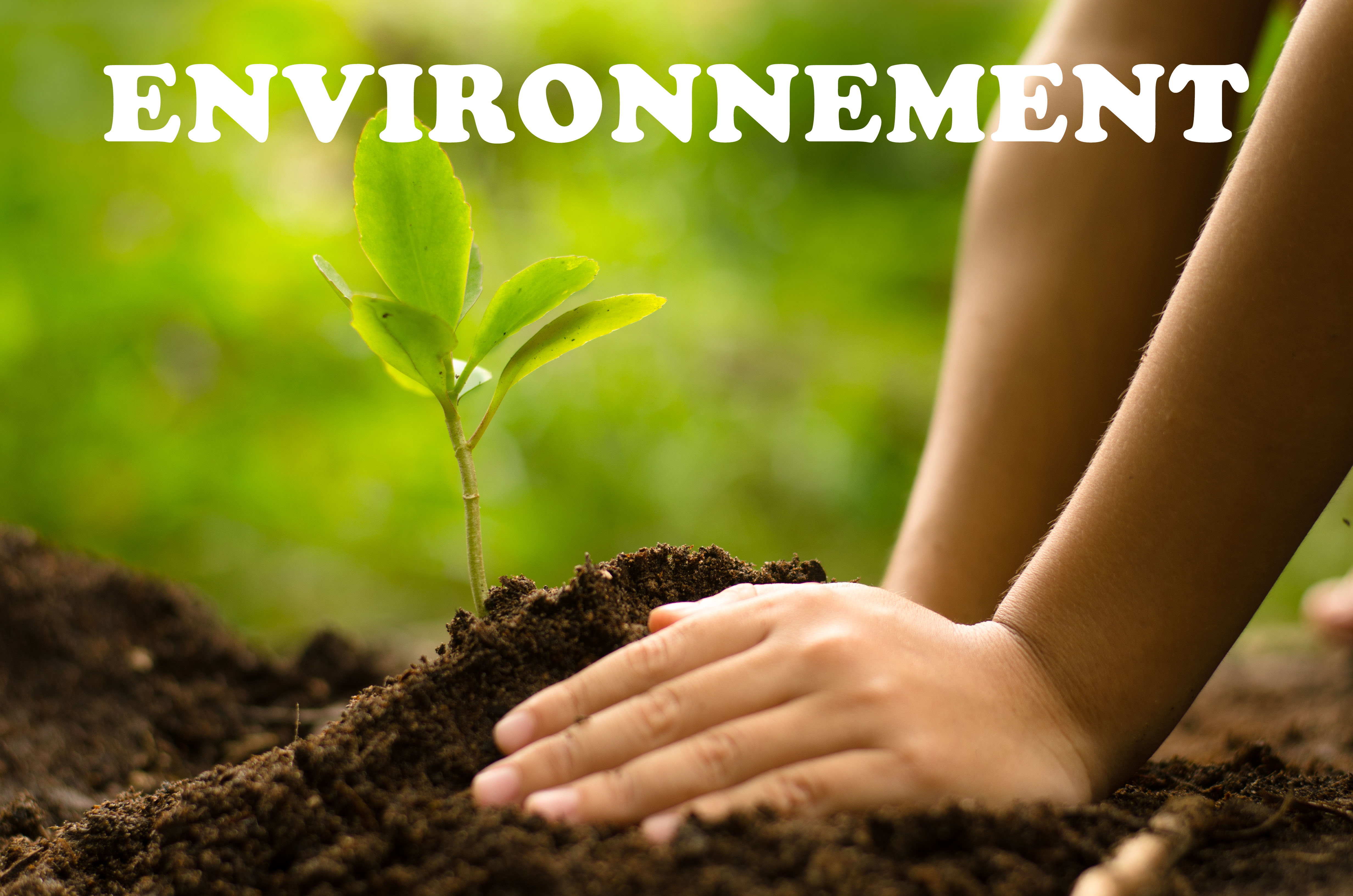 Plant a tree. Экология растений. Экология картинки. Растения в окружающей среде. Посадка деревьев.