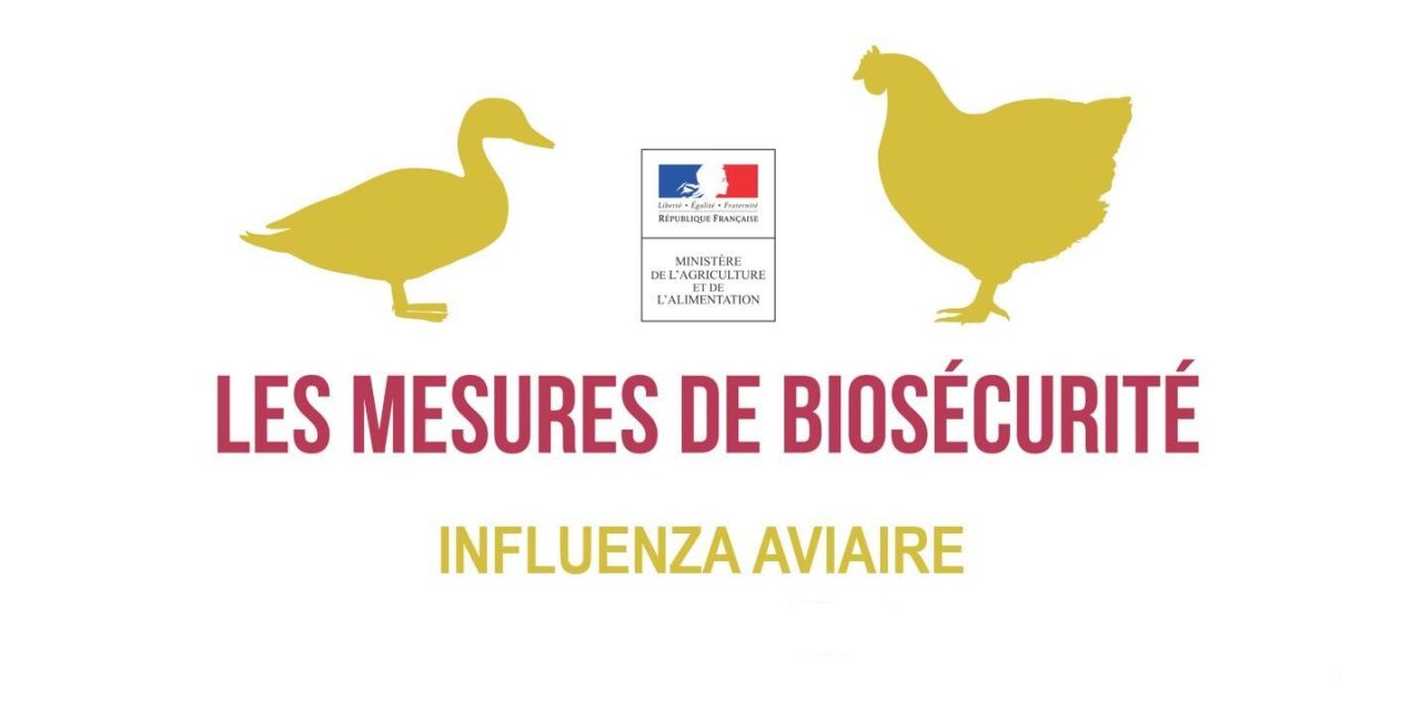 [Influenza aviaire] Passage en risque élevé