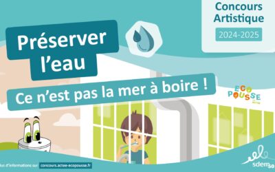 Concours national Ecopousse : une élève de La Salvetat récompensée !